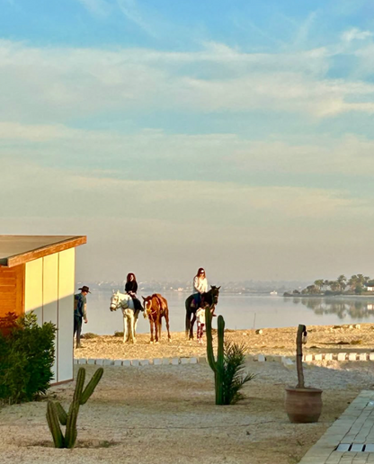 "Being Her" Women's Retreat Ticket: Partial Lake View